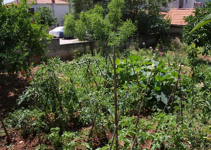 By The Sea Jezera, Murter - 5063 *